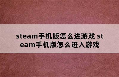 steam手机版怎么进游戏 steam手机版怎么进入游戏